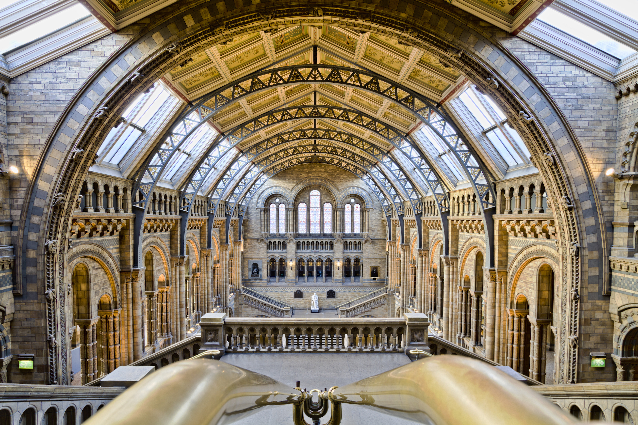 The Natural History Museum 79