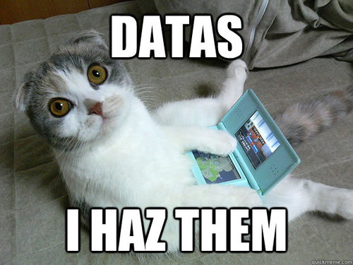 Data Kitten